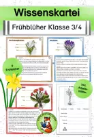 Vorschau - Stationenlernen - Wissenskartei Frühblüher Klasse 3/ 4 Sachunterricht - Deckblatt