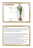 Vorschau - Stationenlernen - Wissenskartei Frühblüher Klasse 3/ 4 Sachunterricht - Seite 3