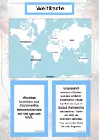 Vorschau - Arbeitsblätter - Das Alpaka – Steckbrief inklusive – Tiere Südamerikas – Montessori Lernkarten (Kontinente entdecken) - Seite 2