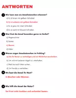 Vorschau - Spiele - Die Amsel: Leseverständnis und Kreuzworträtsel mit Lösungen - Seite 3