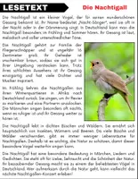 Vorschau - Arbeitsblätter - Die Nachtigall: Leseverständnis und Kreuzworträtsel mit Lösungen - Seite 1