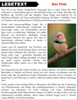 Vorschau - Spiele - Der Fink: Leseverständnis und Kreuzworträtsel mit Lösungen - Seite 1