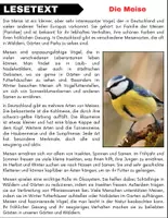 Vorschau - Spiele - Die Meise: Leseverständnis und Kreuzworträtsel mit Lösungen - Seite 1