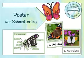 Vorschau - Poster - Miniposter/Tafelmaterial - Der Schmetterling - Seite 1