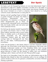 Vorschau - Arbeitsblätter - Der Spatz: Leseverständnis und Kreuzworträtsel mit Lösungen - Seite 1