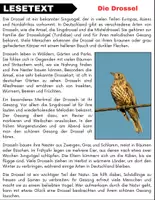 Vorschau - Spiele - Die Drossel: Leseverständnis und Kreuzworträtsel mit Lösungen - Seite 1