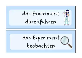 Vorschau - Präsentationen/Tafelbilder - Tafelkarten: der naturwissenschaftliche Erkenntnisweg und das Protokoll - Seite 3