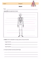 Vorschau - Arbeitsblätter - Der Mensch - Skelett - Deckblatt