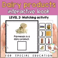 Voorbeeld - Dairy products matching for preschool SPED | Five Food groups errorless activity - Pagina 2