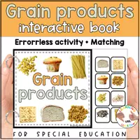 Voorbeeld - Grains and cereal matching for preschool | Five Food groups errorless activity - Pagina 1