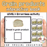 Voorbeeld - Grains and cereal matching for preschool | Five Food groups errorless activity - Voorblad