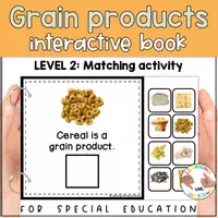 Voorbeeld - Grains and cereal matching for preschool | Five Food groups errorless activity - Pagina 2