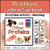 Voorbeeld - Proteins matching for preschool | Five Food groups errorless activity - Pagina 1
