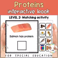 Voorbeeld - Proteins matching for preschool | Five Food groups errorless activity - Voorblad