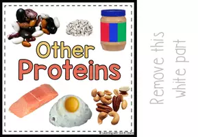 Voorbeeld - Proteins matching for preschool | Five Food groups errorless activity - Pagina 3