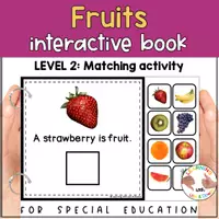 Voorbeeld - Fruit matching for preschool | Five Food groups errorless activity - Pagina 2