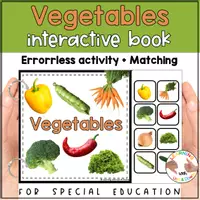 Voorbeeld - Vegetables photo matching for preschool | Five Food groups errorless activity - Voorblad