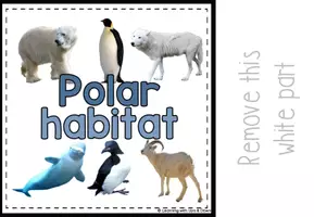 Voorbeeld - Arctic animals polar habitat matching for SPED real photos | Errorless activity - Pagina 3