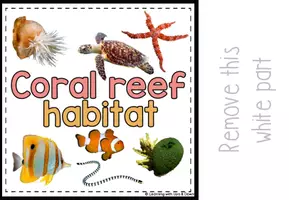 Voorbeeld - Coral reef habitat matching for SPED | Ocean animals Errorless activity - Pagina 3