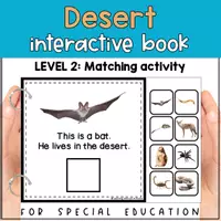 Voorbeeld - Desert animals matching for SPED | Desert habitat activity | errorless - Pagina 2