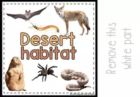 Voorbeeld - Desert animals matching for SPED | Desert habitat activity | errorless - Pagina 3