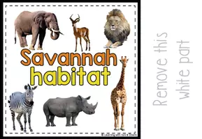 Voorbeeld - Savannah animals matching for SPED | Savannah habitat errorless activity - Pagina 3