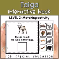 Voorbeeld - Taiga animals matching for SPED | Taiga habitat errorless activity - Pagina 2