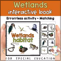Voorbeeld - Wetland animals matching for SPED | Wetlands habitat errorless activity - Voorblad