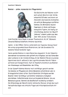 Vorschau - Arbeitsblätter - Materialpaket Deutsch Sek I - Seite 2
