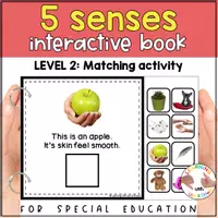 anteprima - Flashcard - Montessori Five senses matching activity | Sense of touch adapted book SPED - Pagina 2