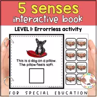 anteprima - Flashcard - Montessori Five senses matching activity | Sense of touch adapted book SPED - Pagina 1