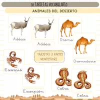 Vista previa - Refuerzo / NEE / Materiales de apoyo - ANIMALES DEL DESIERTO - VOCABULARIO: Tarjetas 3 partes. Montessori. - Portada