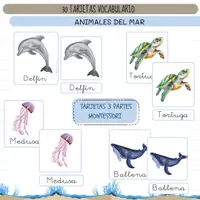 Vista previa - Refuerzo / NEE / Materiales de apoyo - ANIMALES MARINO - VOCABULARIO: Tarjetas 3 partes. Montessori. - Portada