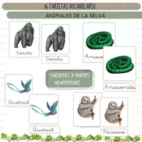 Vista previa - Refuerzo / NEE / Materiales de apoyo - ANIMALES DE LA SELVA - VOCABULARIO: Tarjetas 3 partes. Montessori. - Portada