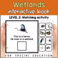anteprima - Flashcard - Wetland animals matching for SPED | Wetlands habitat errorless activity - Pagina 2