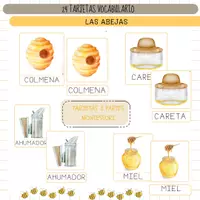 Vista previa - Juegos / Gamificación - ABEJAS - VOCABULARIO: Tarjetas 3 partes. Montessori. - Portada