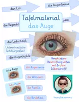 Vorschau - Poster - Tafelmaterial-Auge für den Sachunterricht - Deckblatt
