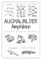 Vorschau - Mal- und Bastelvorlagen - Ausmalbilder Amphibien (Frösche, Molche, Kaulquappen) - Seite 2