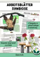 Vorschau - Arbeitsblätter - Arbeitsblatt Symbiose Gruppenarbeit Ökologie Biotische Faktoren Beziehungen - Deckblatt