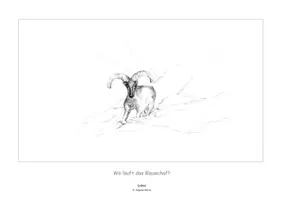 Vorschau - Spiele - Materialpaket: Tiere im Winter (auch passend zum Kinderbuch "Die Reise der kleinen Streifengans" - Seite 3