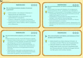 Vorschau - Merkblätter - Kohlenhydrate, Lipide und Proteine - Lernkartei - Seite 3
