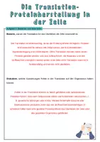 Vorschau - Unterrichtsreihen - Materialpaket Biologie XXL, 31 fertige Stunden Biologie, Nervensystem und Genetik, 10. Klasse - Seite 3