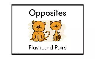 Προεπισκόπηση - Φύλλα εργασίας - Opposites (Adjectives) - Bundle - Σελίδα 2