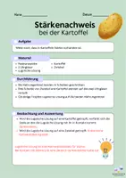 Vorschau - Arbeitsblätter - Anleitung Stärkenachweis - Seite 1