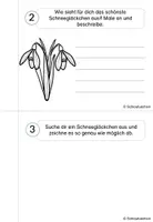 Vorschau - Arbeitsblätter - Forscherheft Schneeglöckchen Frühblüher Klasse 1 2 3 4 - Seite 3