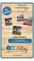 Aperçu - Apprentissages en autonomie - Les cartes de nomenclature sur les sports - Page de couverture