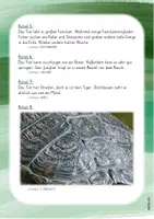 Vorschau - Spiele - Quiz: 20 Rätselfragen zu Zootieren - Seite 3