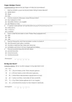 Vorschau - Arbeitsblätter - Richard Meier (Infotext und Übungen) - Seite 2