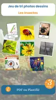 Aperçu - Apprentissages en autonomie - Le jeu de tri photos dessins sur les insectes - Page de couverture
