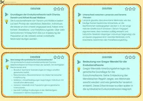 Vorschau - Merkblätter - Evolution - Lernkartei - Seite 3